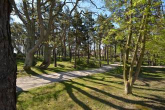 Blick in den Kurpark