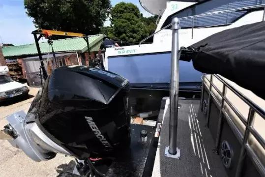 Removable Ski Pole