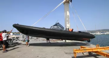 Goldfish 29 Sport
