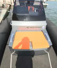Goldfish 29 Sport