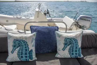 Used Sail Catamaran for sale