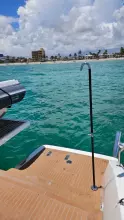 Used Power Catamaran for sale
