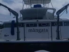 Used Power Catamaran for sale