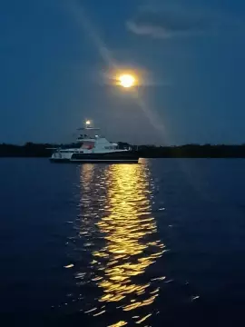 Used Power Catamaran for sale