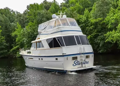 Stern