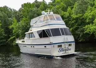 Stern