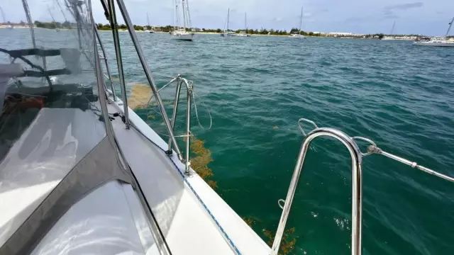 20 03 Deck IMG_1766_beneteau_461_2020