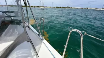 20 03 Deck IMG_1766_beneteau_461_2020