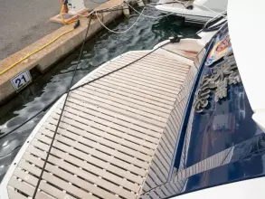 3 - Bathing Platform