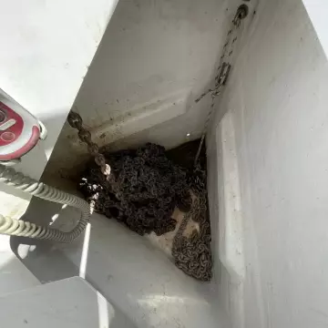 Anchor chain compartment of 2020 Jeanneau Sun Odyssey 440 sailboat.