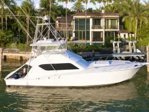 Arial Dockside Profile 2  